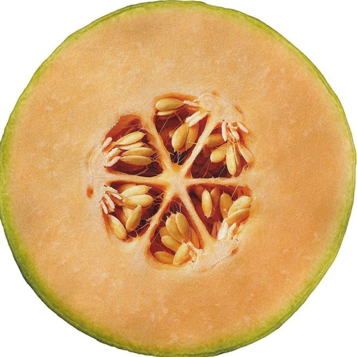Küchenzubehör Karnz