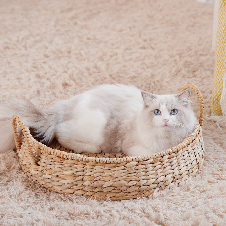 Kuscheliges Katzenbett Karnz