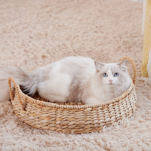 Kuscheliges Katzenbett Karnz