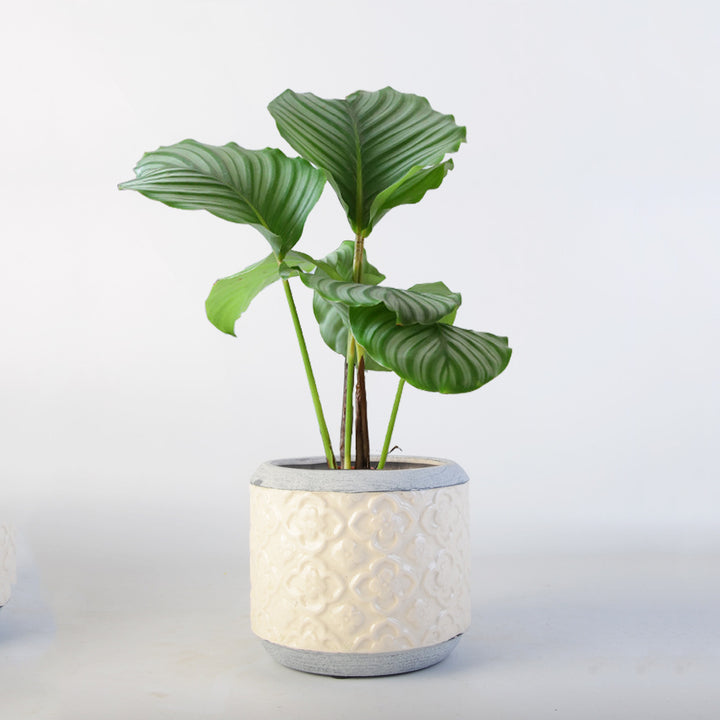 Blumentopf Karnz
