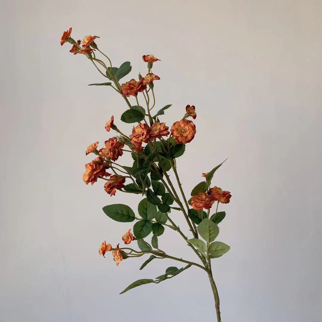 Elegante dekorative Blumenstängel