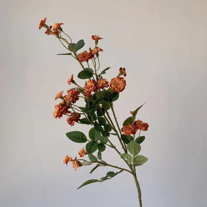 Elegante dekorative Blumenstängel