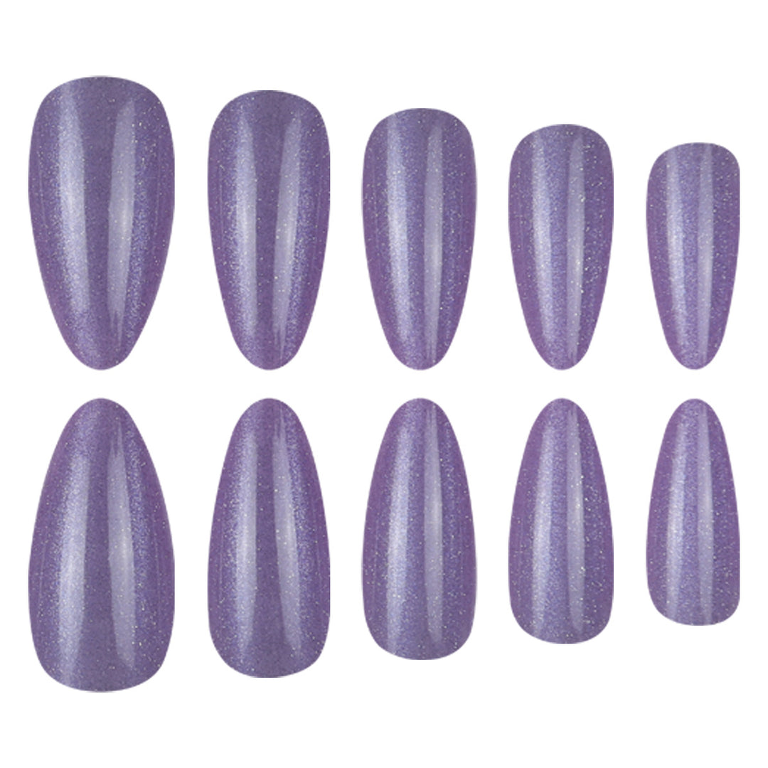 Sparkling Lange Stiletto Press-On Nägel Karnz