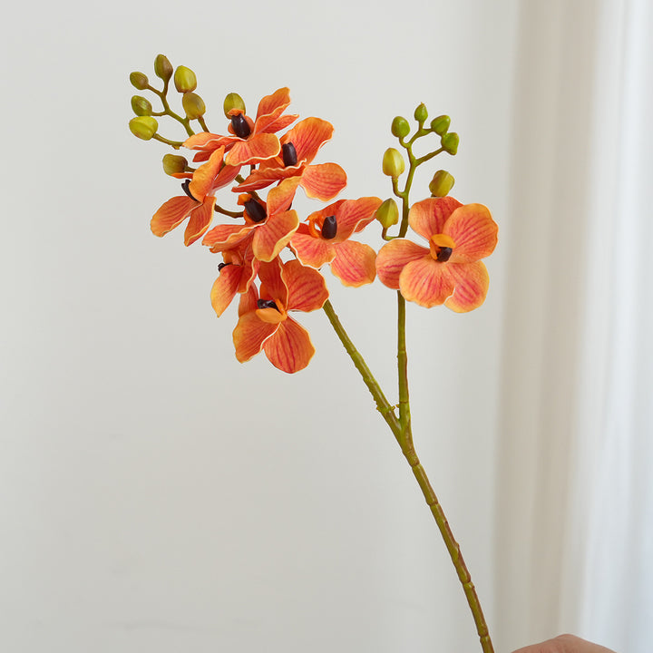 Elegante Orchideen-Stängel Karnz