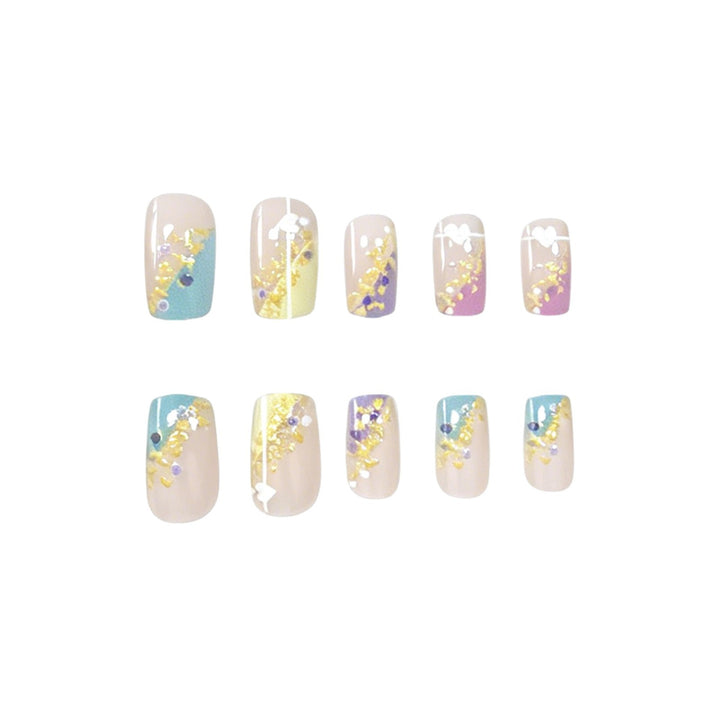 Elegante Ombre Acryl-Nagelkunst-Verstärkungen Karnz