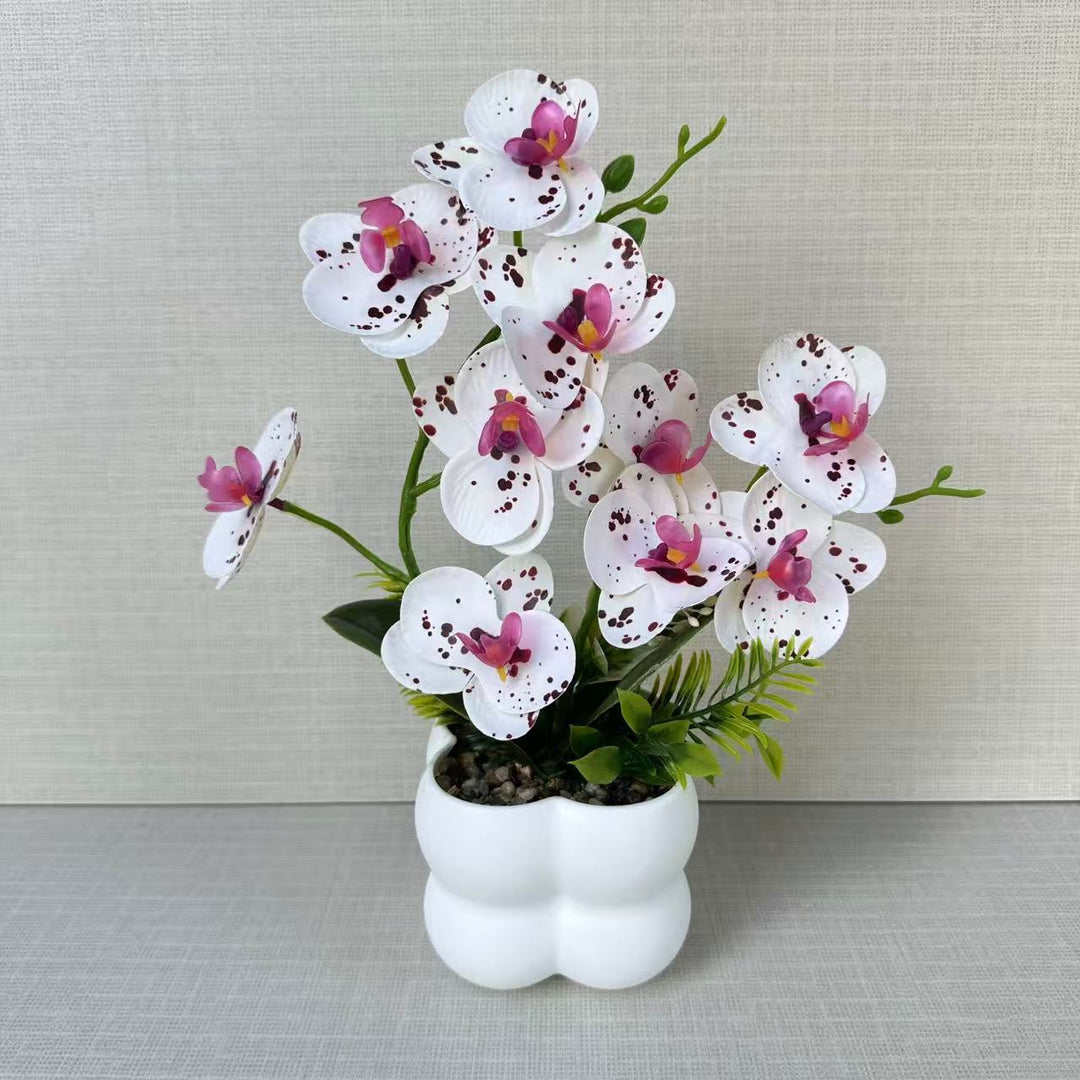 Lebensechte Orchideen-Blumenanzeige