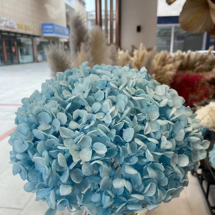 Lebensechte Hortensie Blumenstrauß