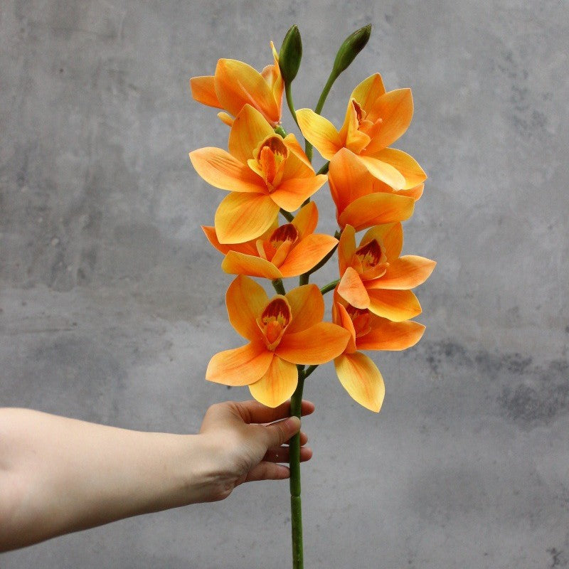 Dekorative Orchidee