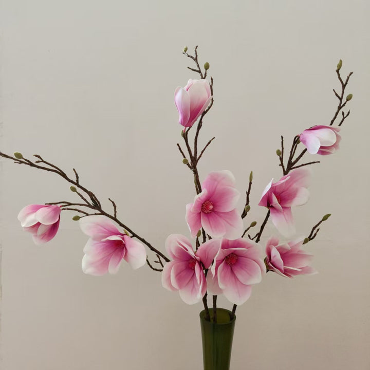 Elegante Magnolienblüte Stiel