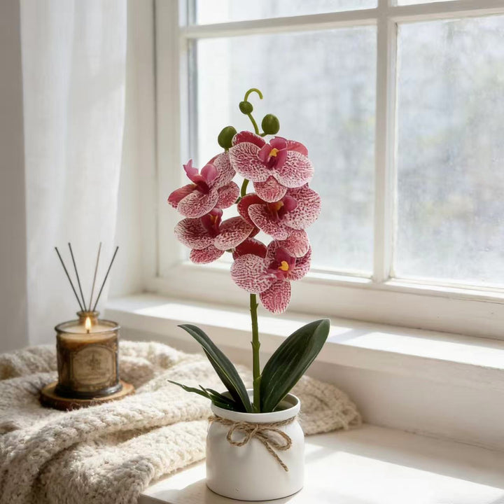 Lebensechte Orchideenpflanze Dekoration für die Wohnkultur