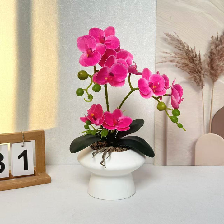 Dekorativer Orchideenblumenarrangement für die Heimanzeige