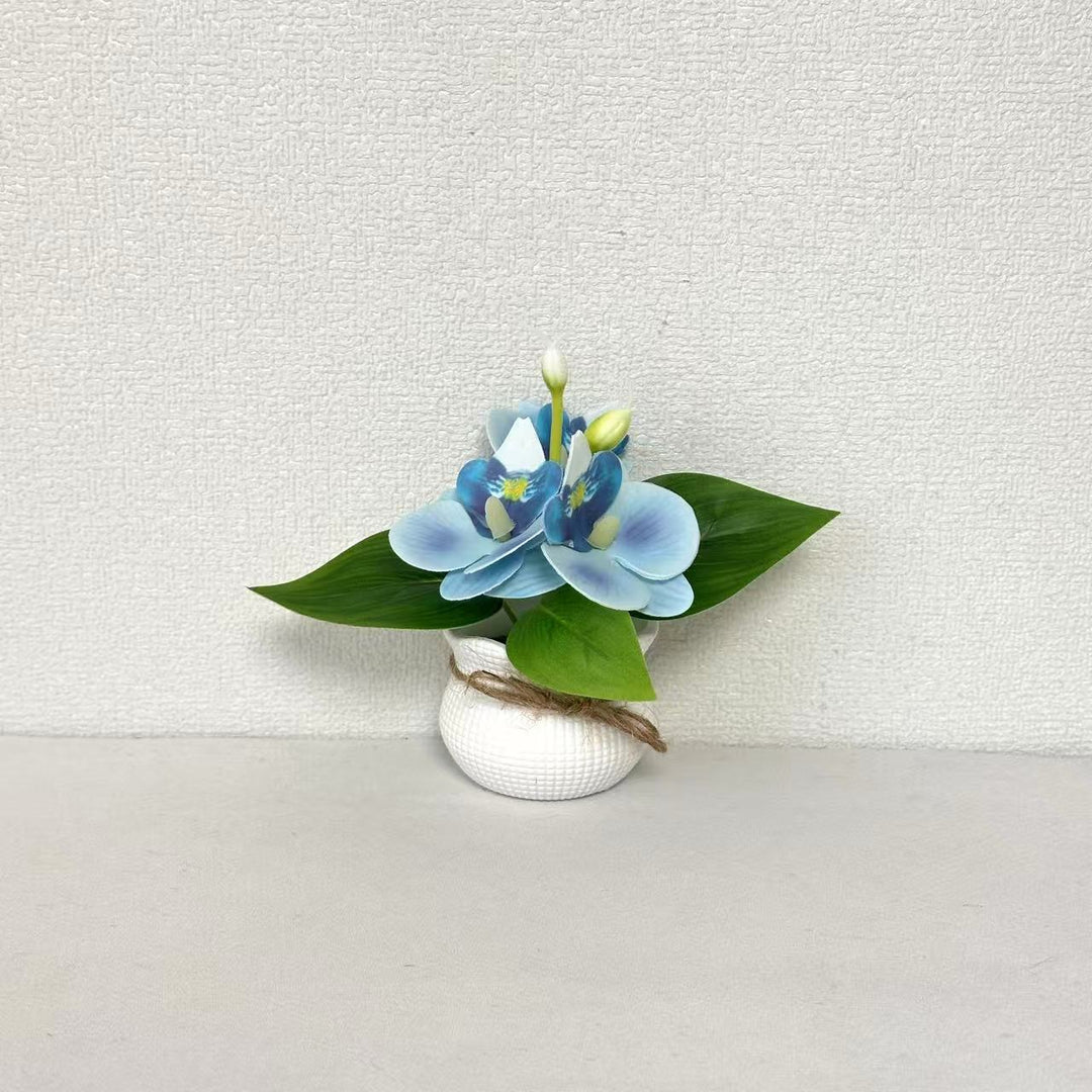 Dekorative Miniatur-Orchideen-Arrangement