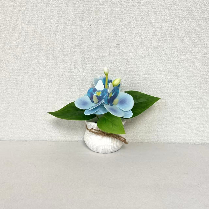 Dekorative Miniatur-Orchideen-Arrangement