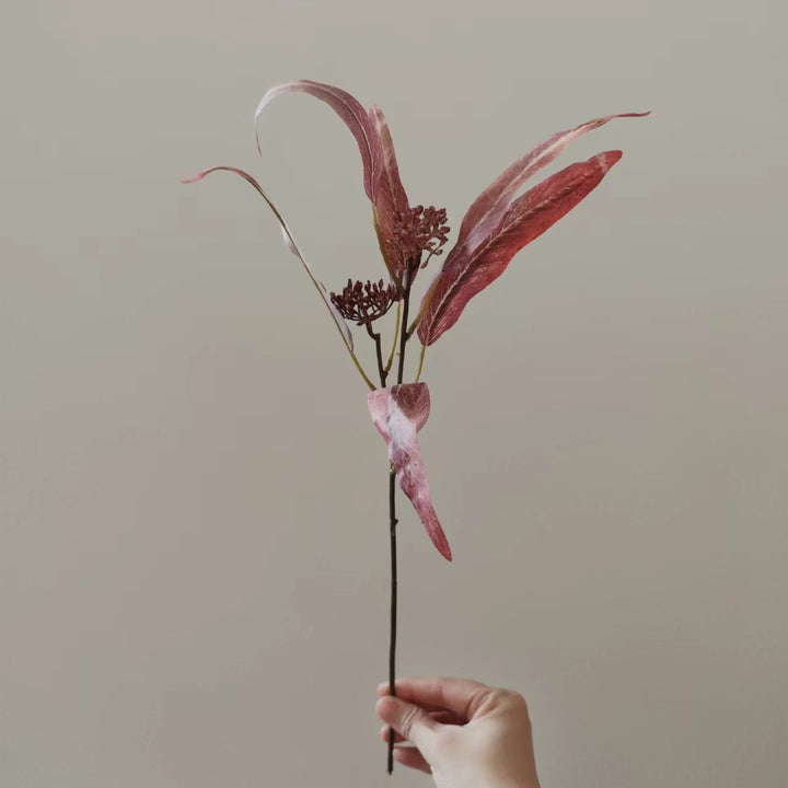 Natürlich getrockneter Blumenstiel