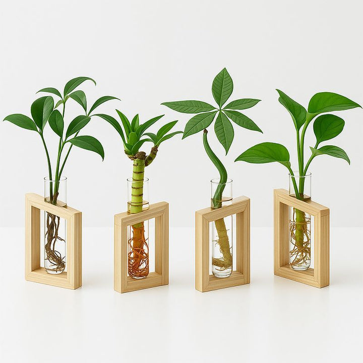 Elegantes Glas Pflanzenhalter-Set für die Wohnkultur