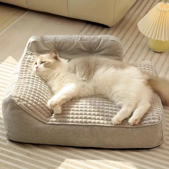 Erhöhtes Orthopädisches Lounge-Hunde Bett