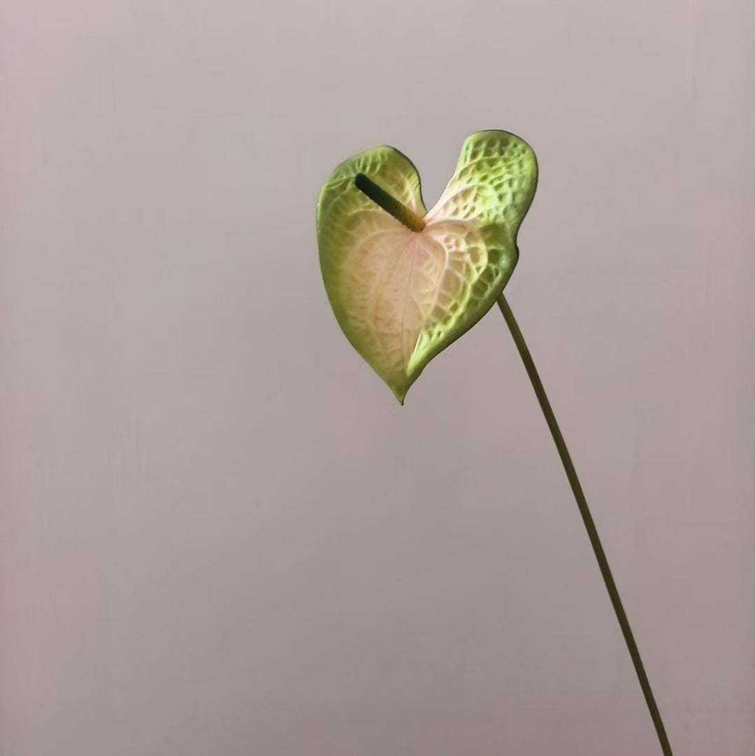 Herzförmiges Blatt Blumenständer