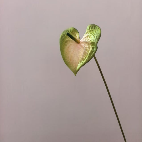 Herzförmiges Blatt Blumenständer