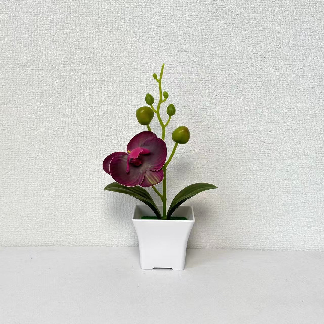 Lebensnahe Miniatur-Orchideenpflanze