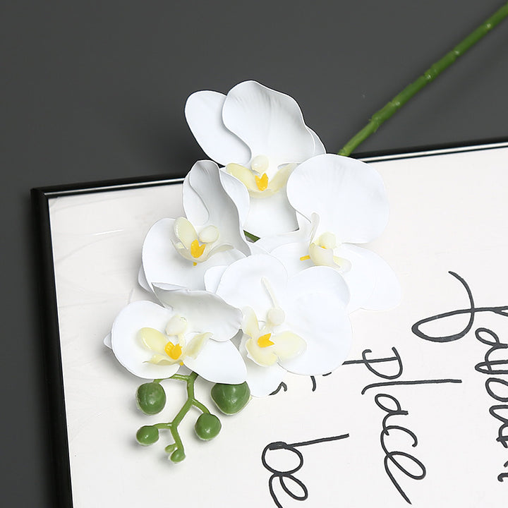 Lebensechter Orchideenblütenstiel