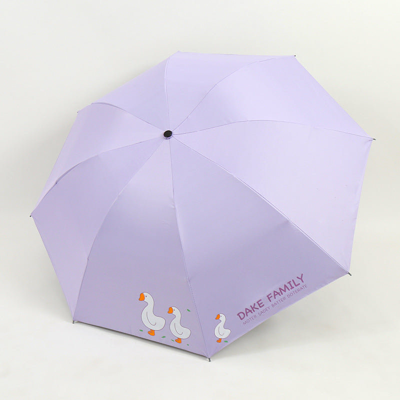 Damen Regenschirm Karnz