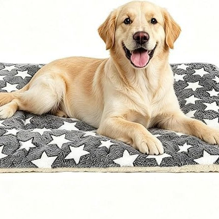 Komfortmatte   Hundebett