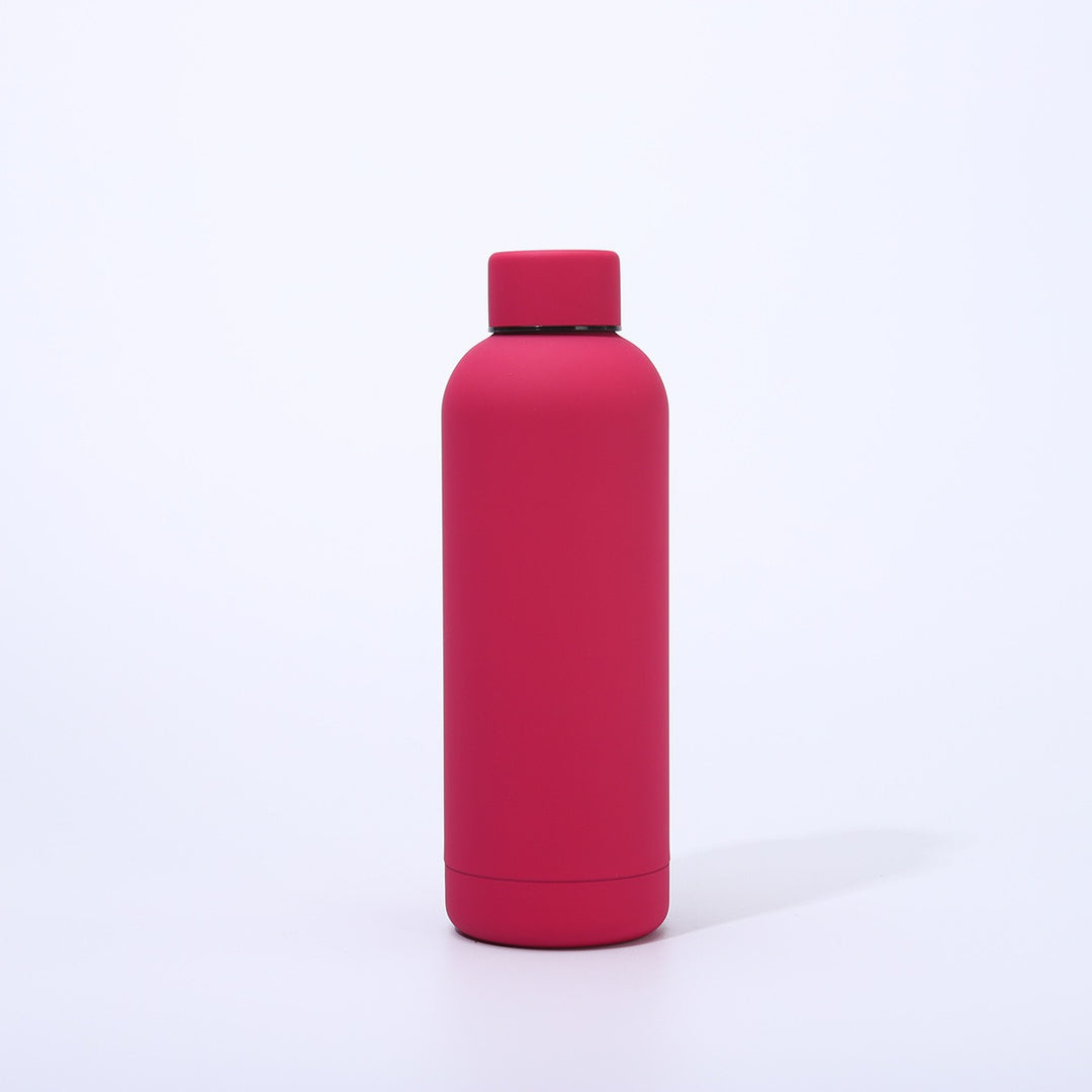 Damen moderne isolierte Wasserflasche Karnz