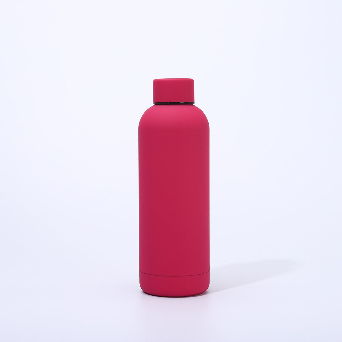 Damen moderne isolierte Wasserflasche Karnz