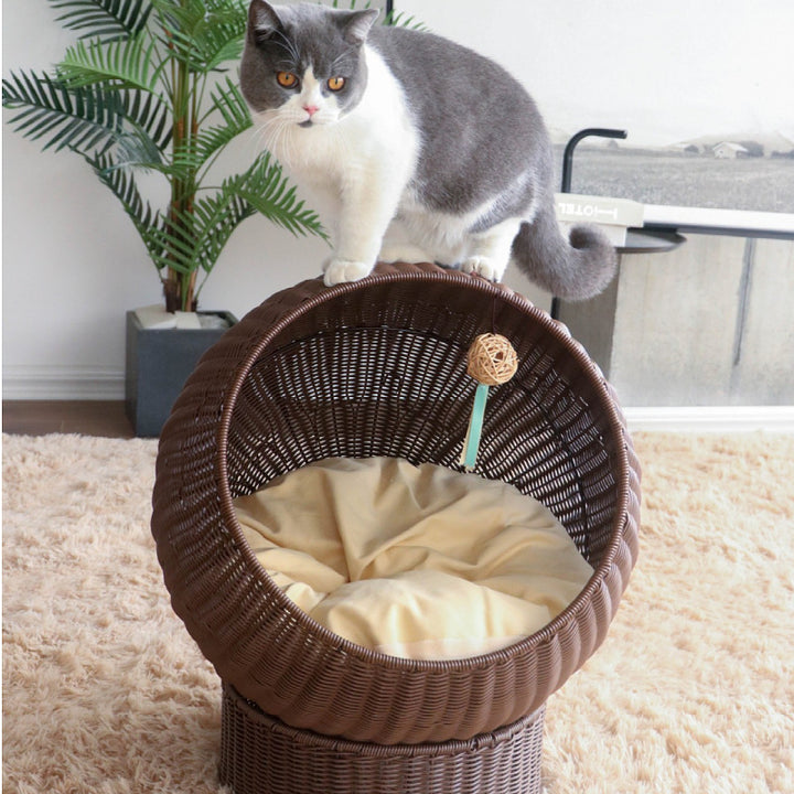 Katzenbett mit Modernem Design Karnz