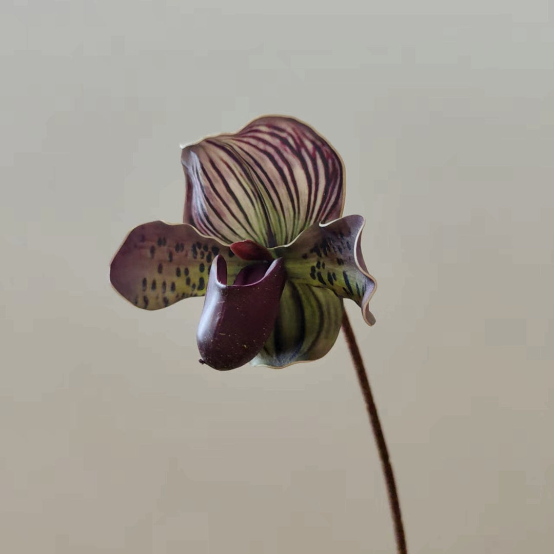 Realistische Orchideenstamm-Vase Dekoration