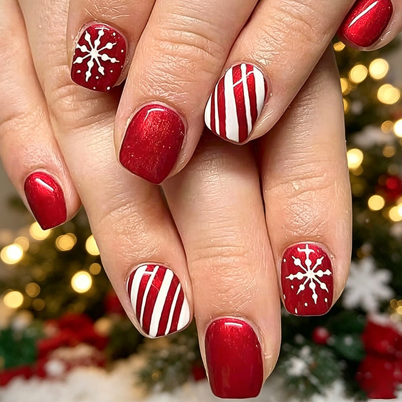 Festliches Winter Nagelkunst Set Karnz