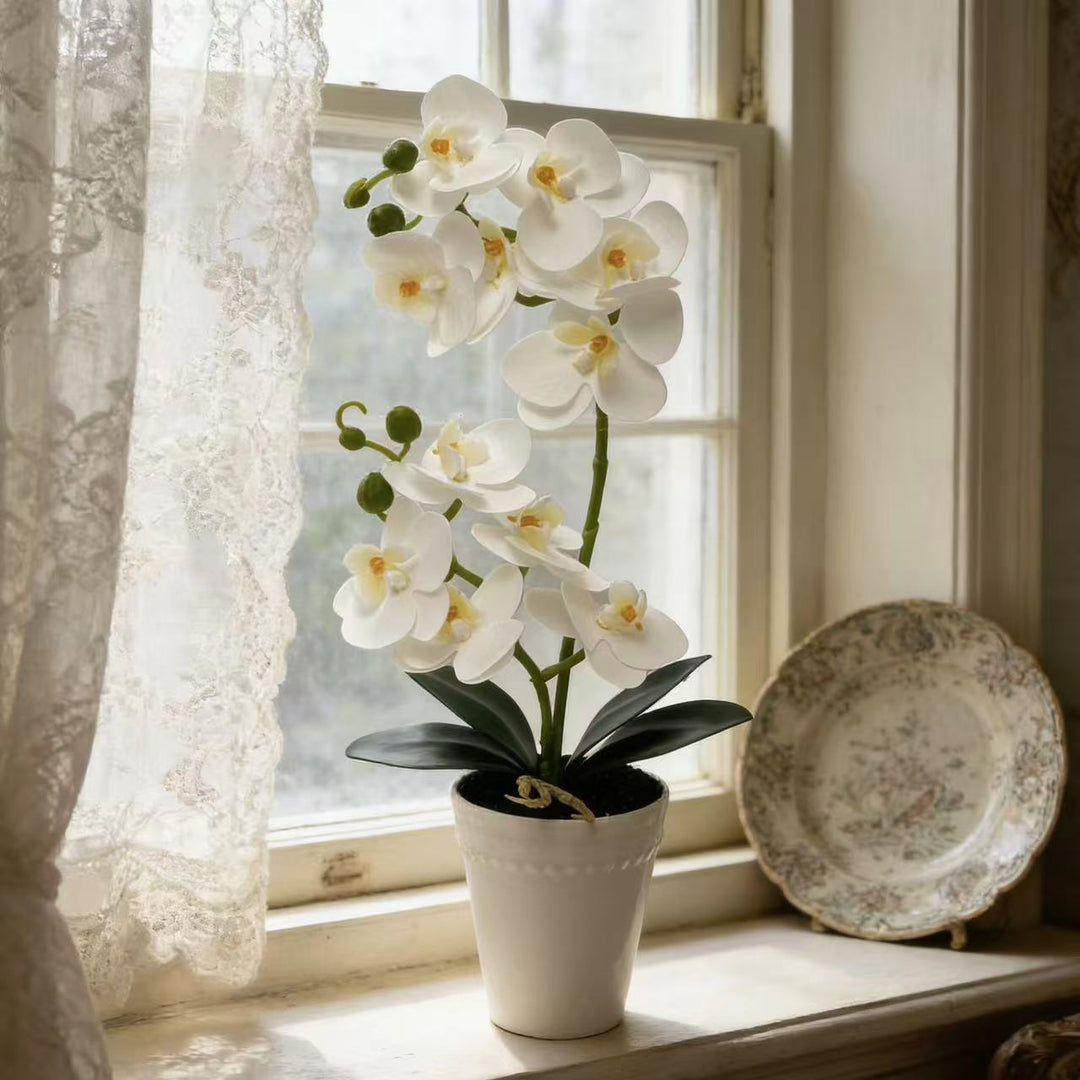 Elegante Kunst-Orchideenpflanze Anzeige