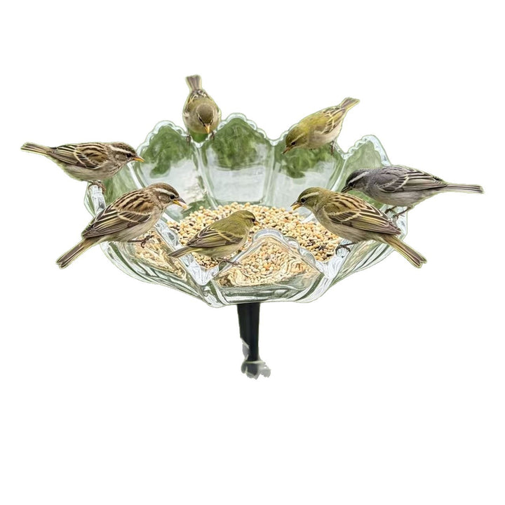 Elegante Vogel-Fütterungsstation Karnz