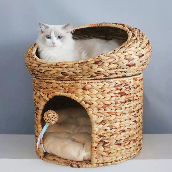 Katzenbett Karnz