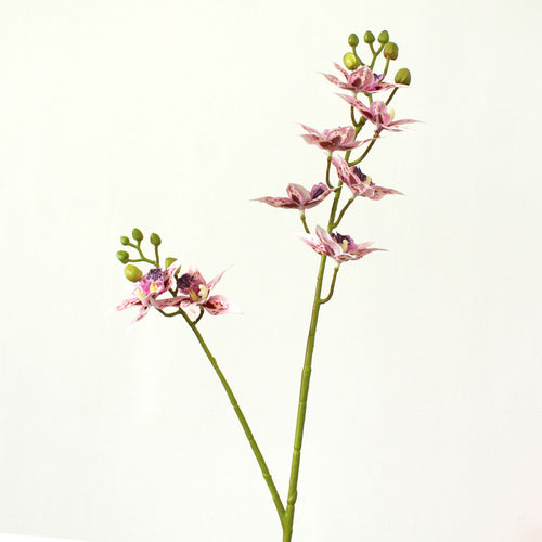 Dekorative Orchideenstiel
