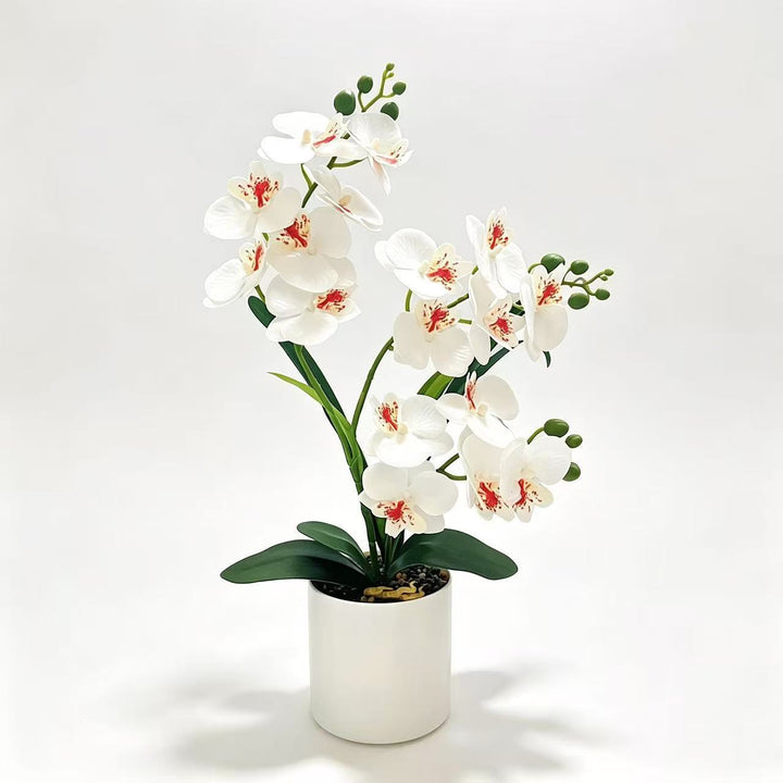 Lebensechte Künstliche Orchideen Pflanze Arrangement für Dekorative Dekoration
