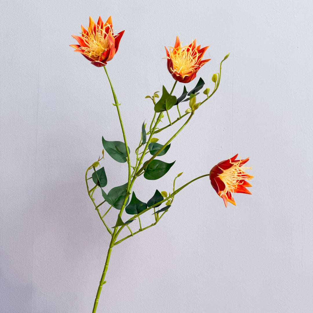 Exotische Flora Anordnung