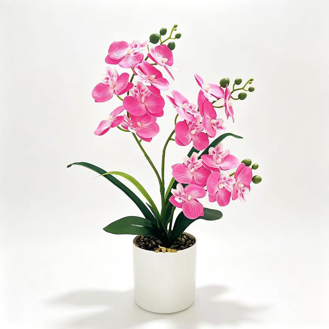 Lebensechte Künstliche Orchideen Pflanze Arrangement für Dekorative Dekoration