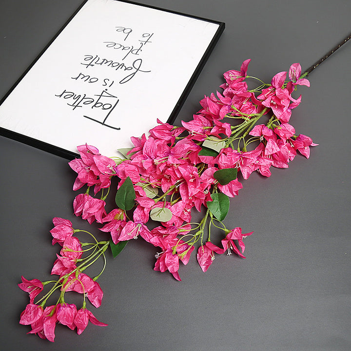 Bougainvillea Blumensstem für Wohnkultur-Display