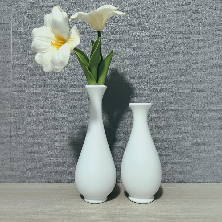 Elegante Minimalistische Blumen vase Karnz