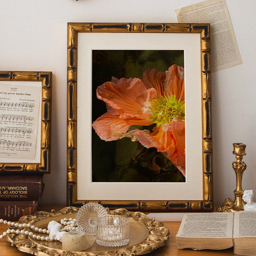 Feine Kunst Blumen Druck Rahmen