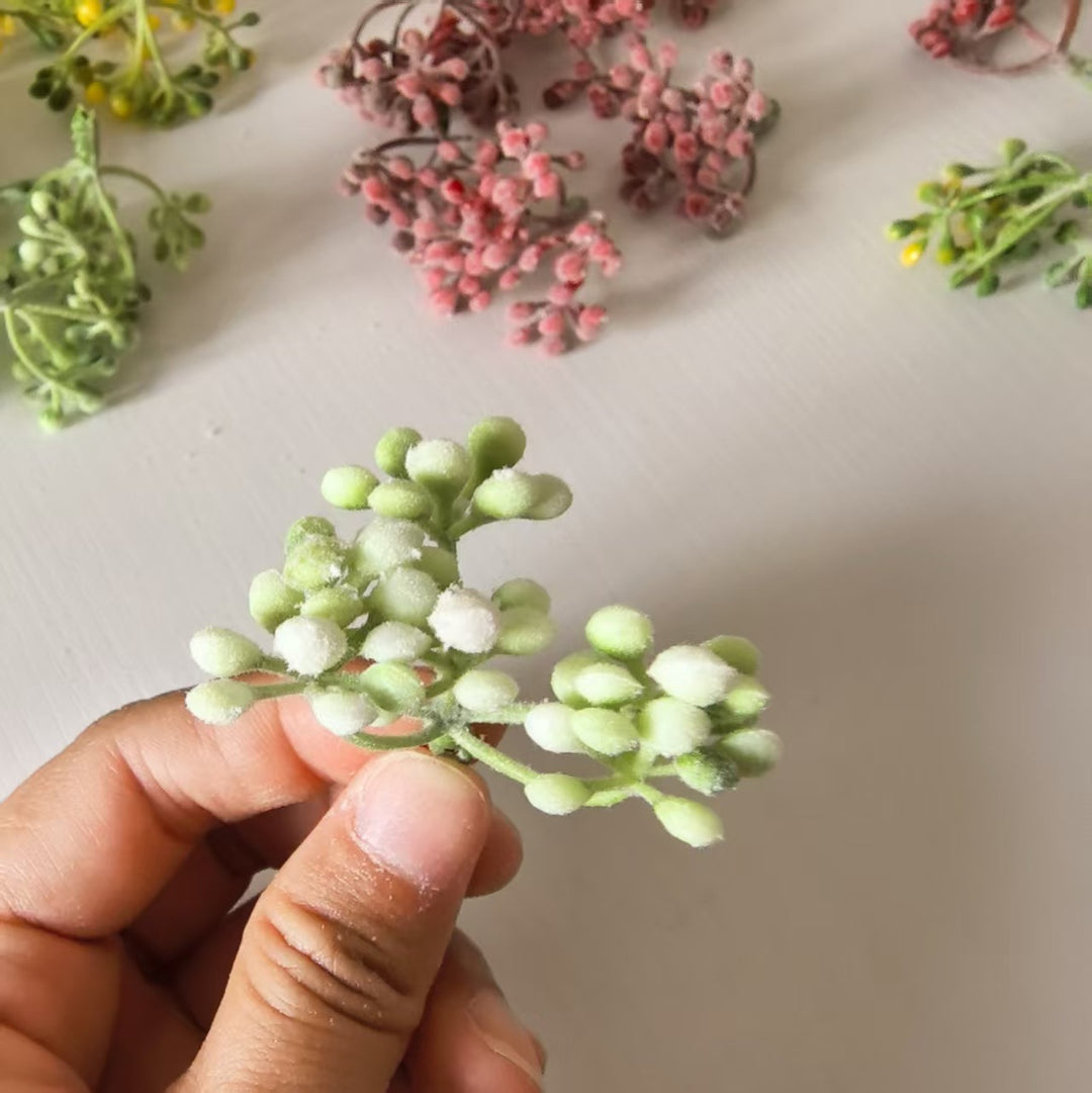 Zarte Blumenknospenstängel