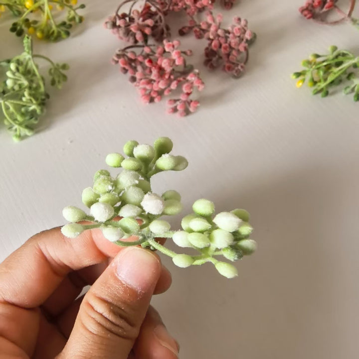 Zarte Blumenknospenstängel