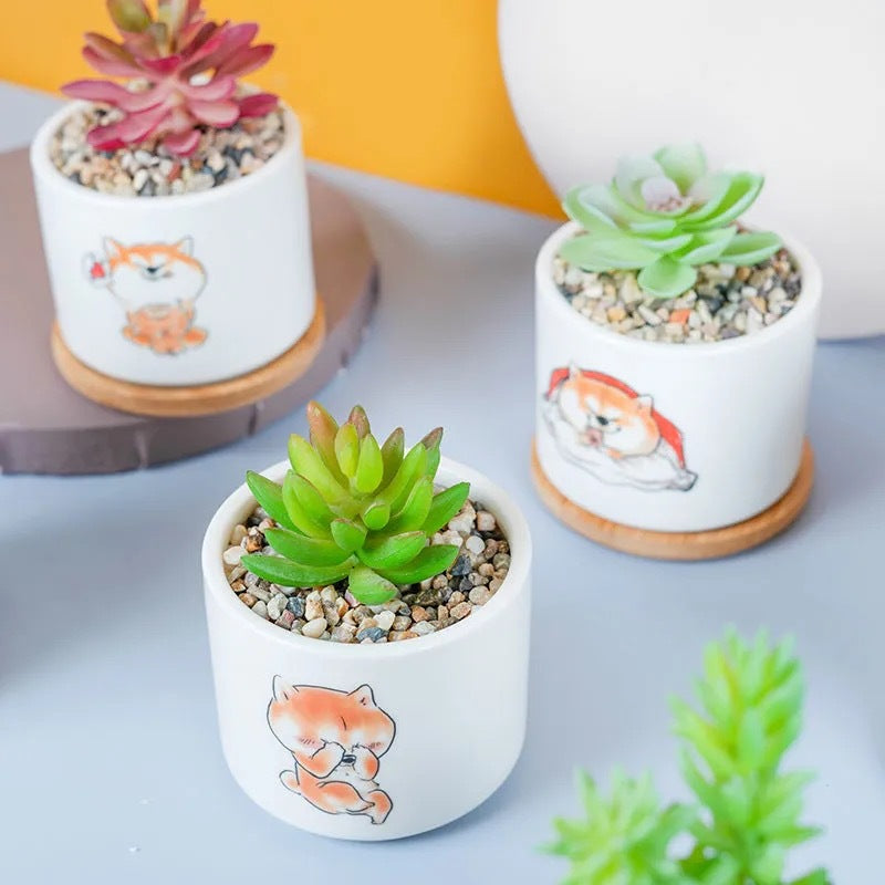Niedlicher Tier-Themen-Sukkulenten-Planter Karnz