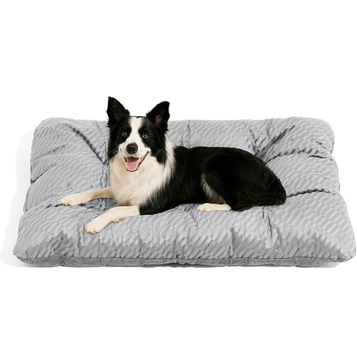 Premium unterstützendes Matratze Hundebett
