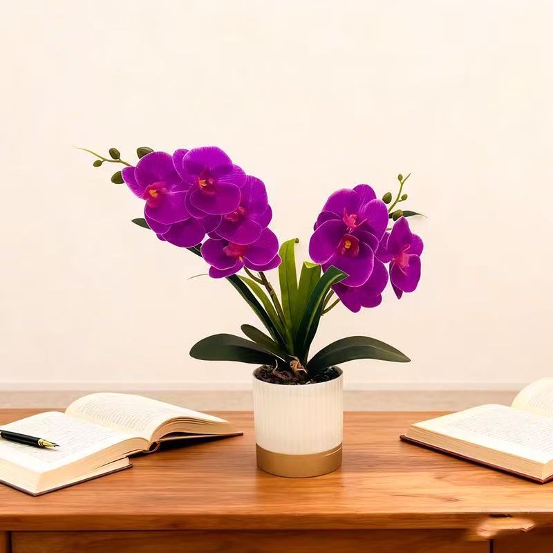 Orchideen-Blumen-Topfarrangement