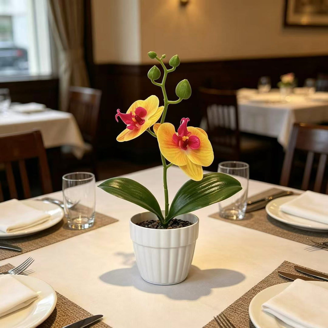 Lebensechte Orchidee Pflanze in dekorativem Keramiktopf für Dekor