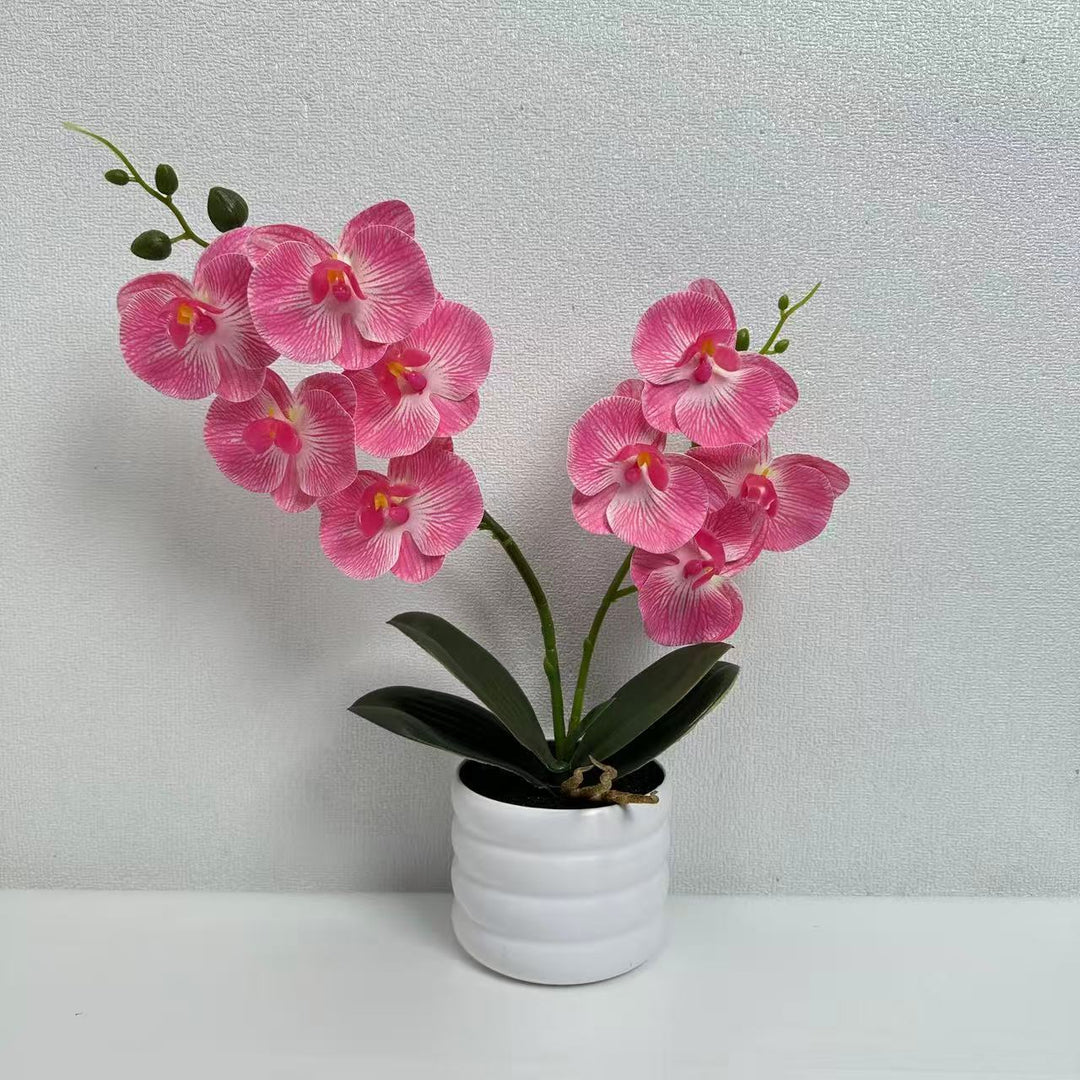 Lebensechte Orchideen Dekor