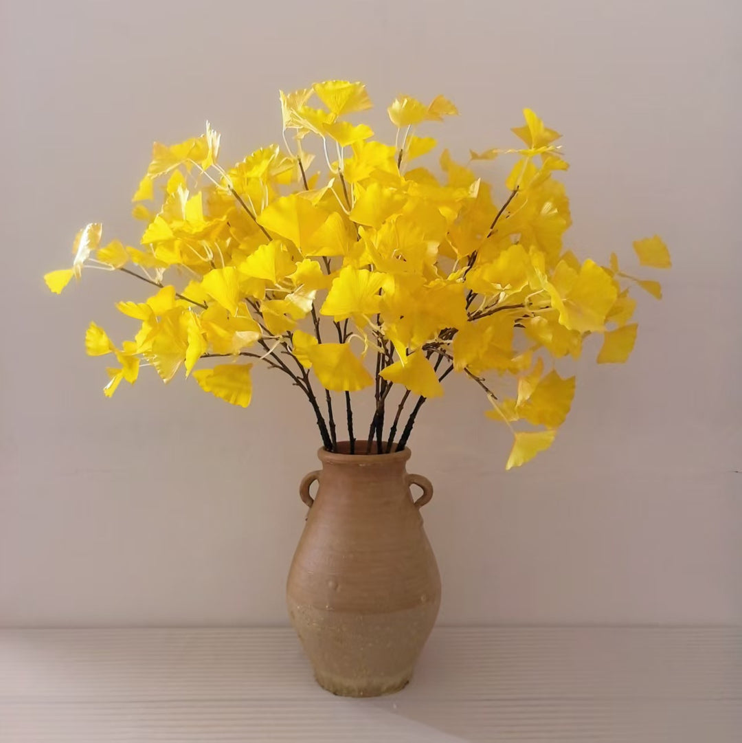 Ginkgo Biloba Dekorativer Stamm