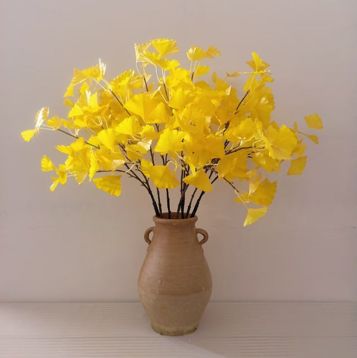 Ginkgo Biloba Dekorativer Stamm